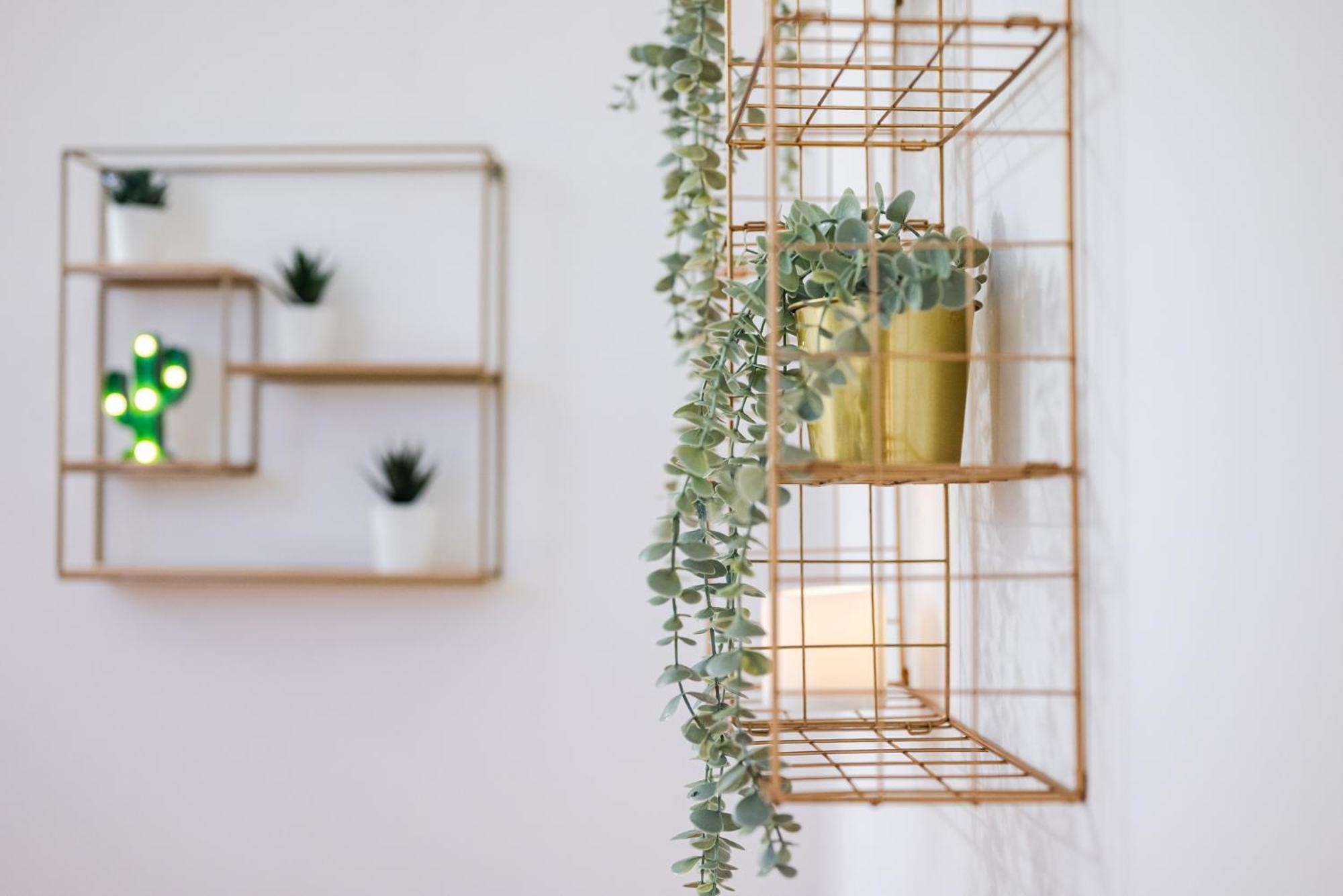 The White Jungle - San Babila Attic Apartment Milan Luaran gambar